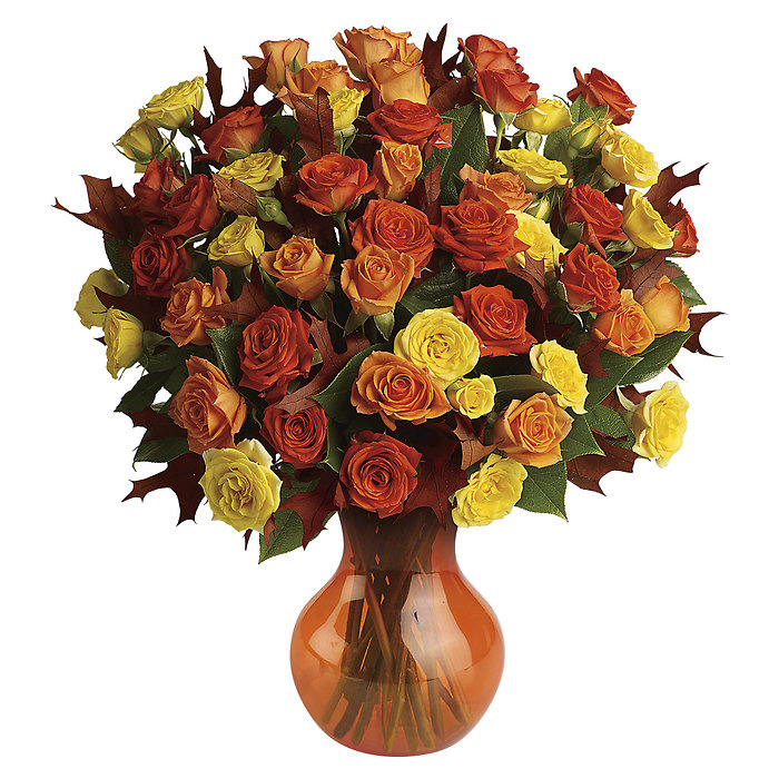  Fabulous Fall Roses